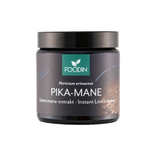 PIKA MANE - prášek z extraktu Lví hřívy, 40g